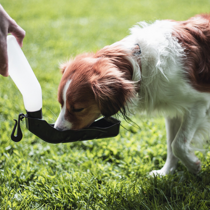 Vesipullo kulholla, 250 ml