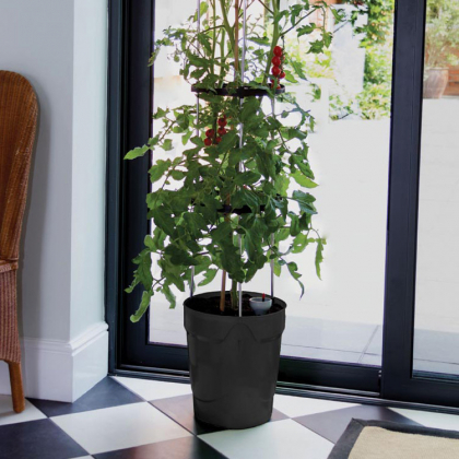 Itsekasteleva ruukku kasvituella, Musta