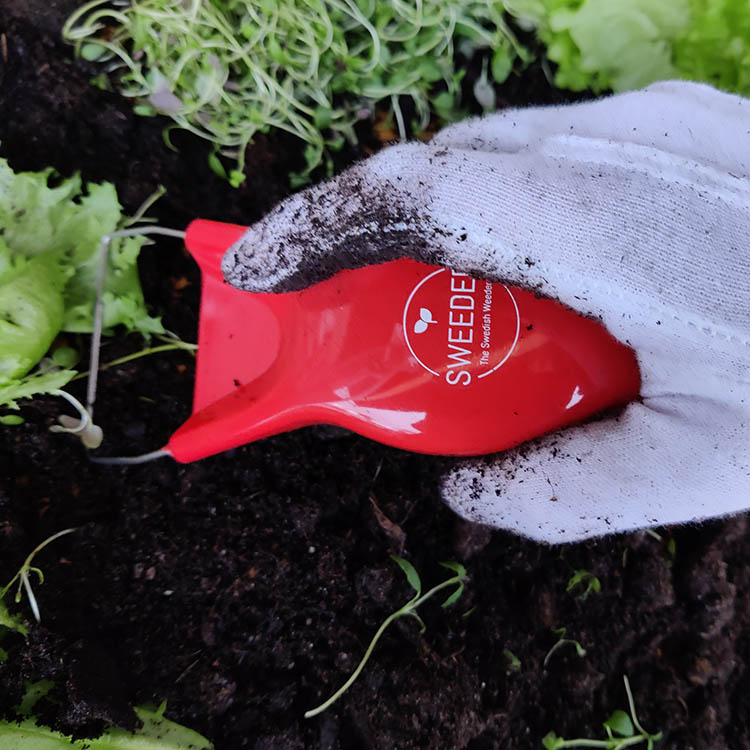 Ergonominen rikkaruohorauta, Punainen