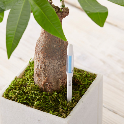 Kosteusmittari ruukkukasveille, Medium Valkoinen