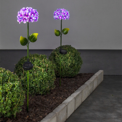 Varrellinen aurinkokennokukka, Vaaleanpunainen Hortensia