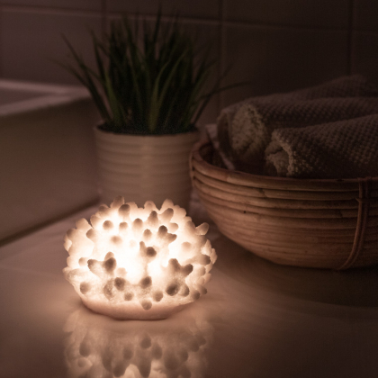 Koristevalaisin ajastimella, Koralli