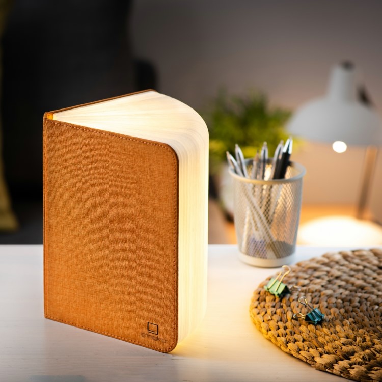 Kirjavalaisin, Large Oranssi