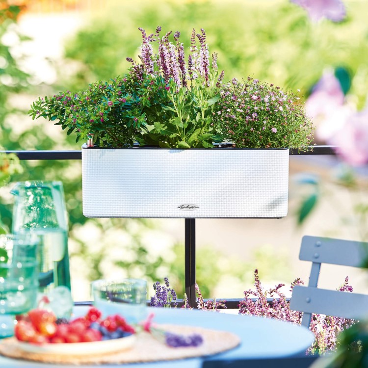 Itsekasteleva parvekelaatikko, Valkoinen