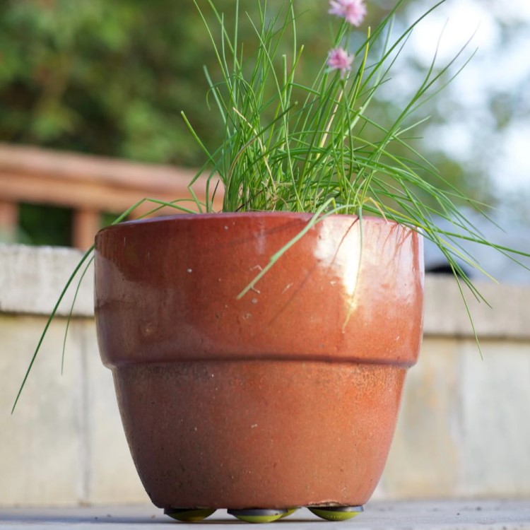 Ruukkujalat 4-pakkaus, Small Vihreä