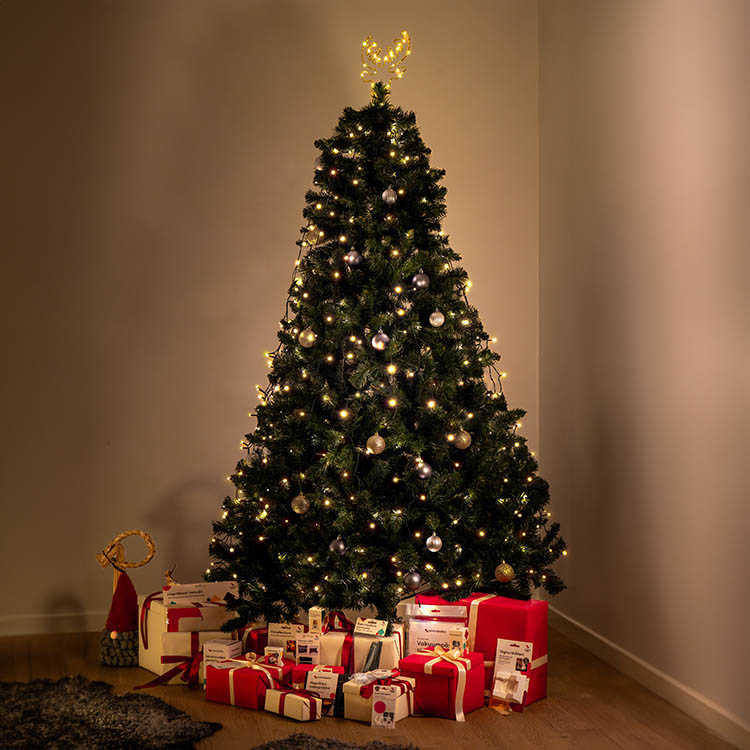 Joulukuusiköynnös, Lämmin valkoinen