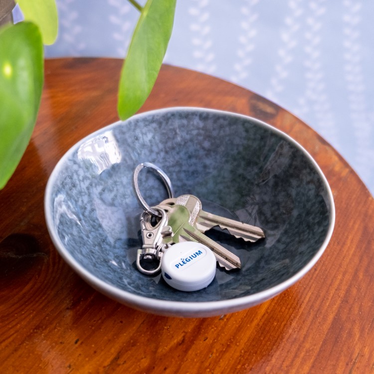 Hälytysnappi Plegium, Hyökkäyspainikekarabiini