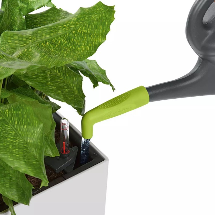 Jatkopala kastelukannun nokkaan, Vihreä