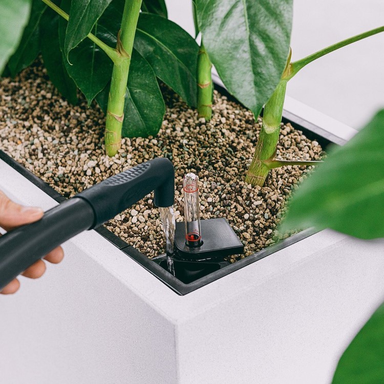 Jatkopala kastelukannun nokkaan, Harmaa