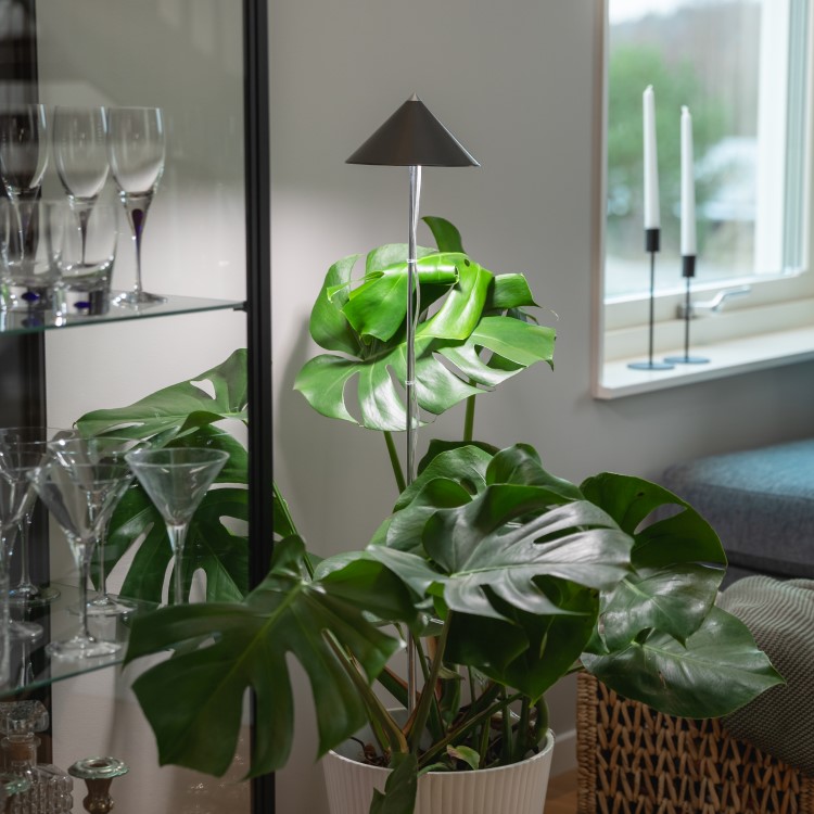 Kasvivalo teleskooppivarrella XL 25W, Grafitinharmaa