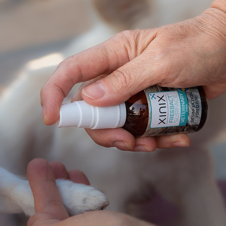 Desinfiointisuihke eläimille, Xinix FreeBact Surface