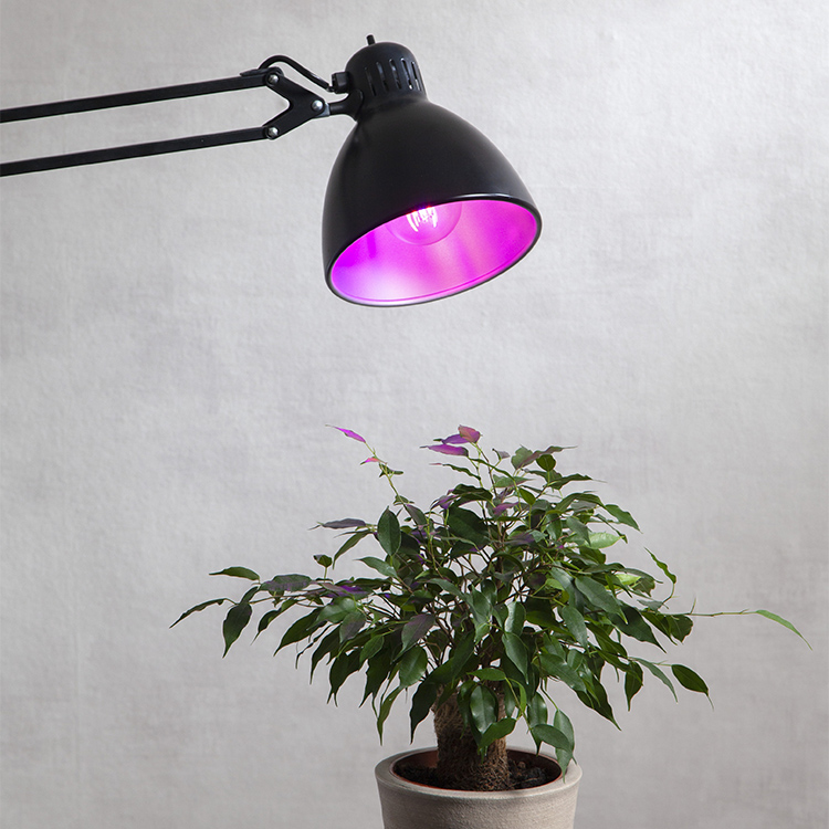 LED-hehkulamppu kasveille ja taimeille