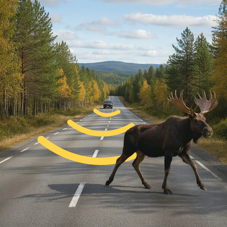 Riistakarkotin autoon