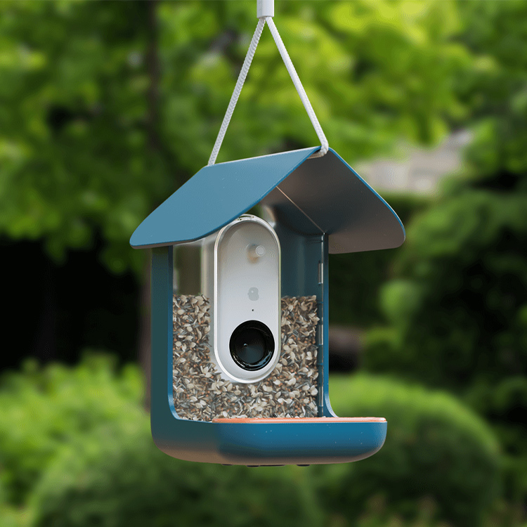 Lintujen syöttölaite kameralla, Birdbuddy