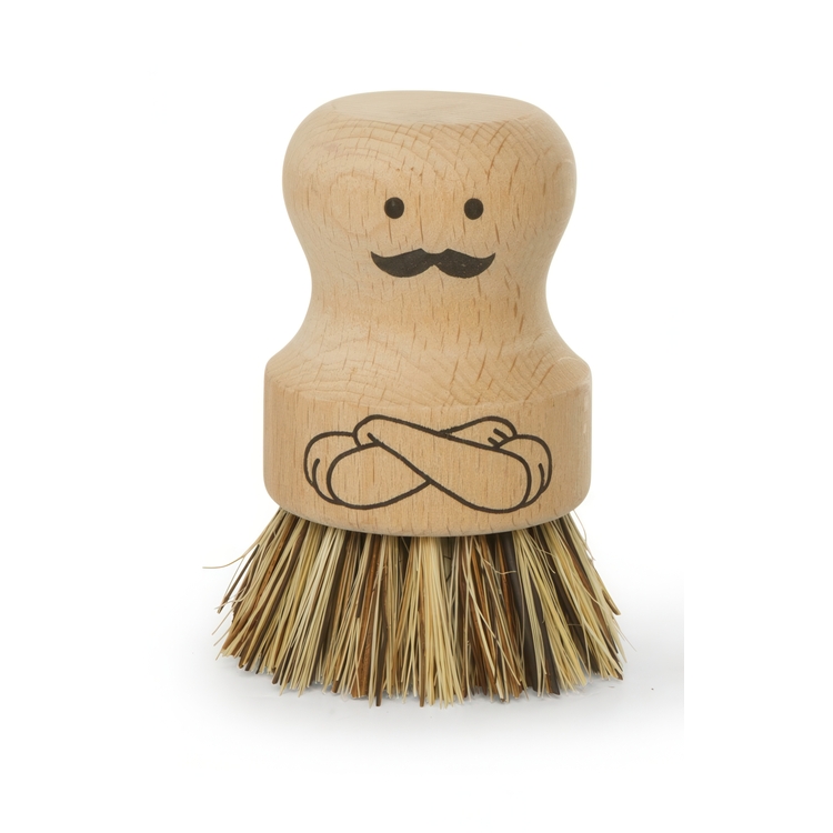 Puinen tiskiharja, Mr Scrubber, Kikkerland