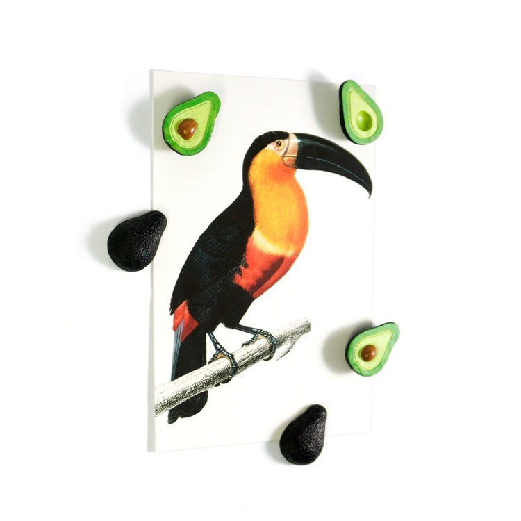 Magneettifiguuri 5 kpl, avokado