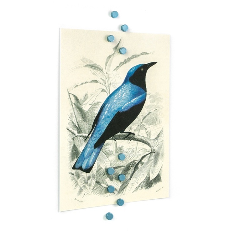 Pyöreä minimagneetti 10 kpl, vaaleansininen
