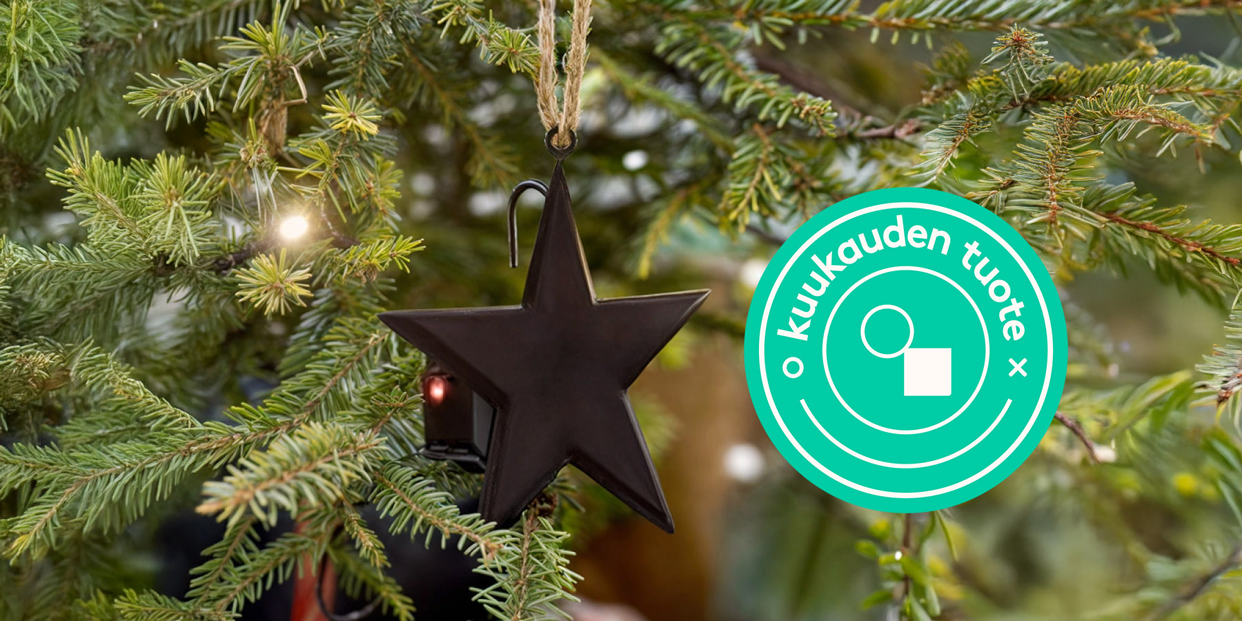 Kuukauden tuote: Vesianturi joulukuuselle 25%