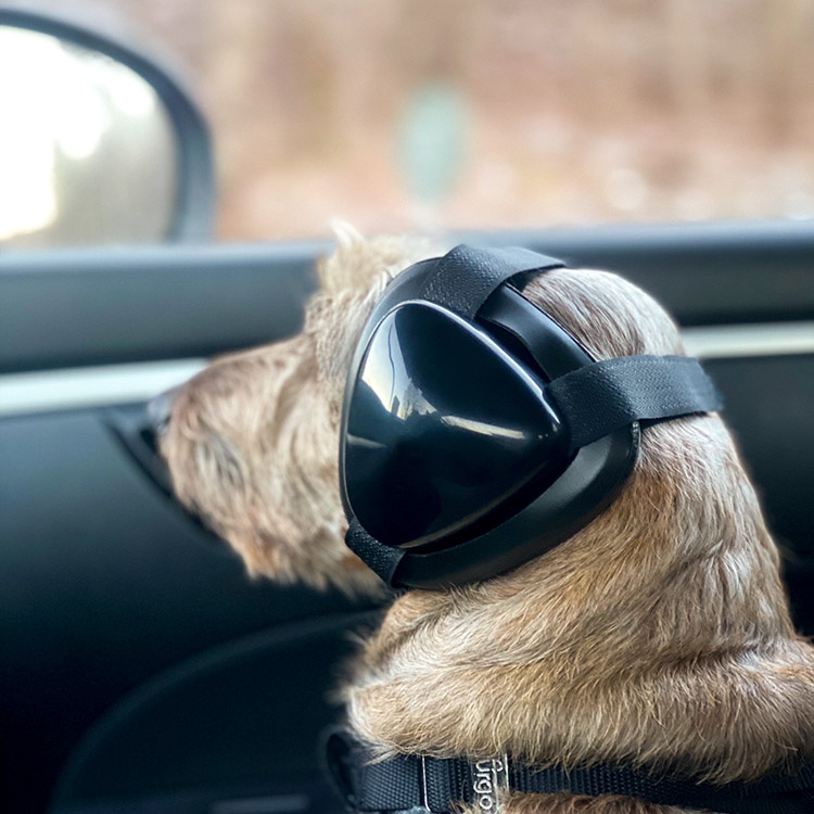 Kuulosuojaimet koiralle ryhmässä Vapaa-aika / Lemmikit / Koiratarvikkeet @ SmartaSaker.se (10806)