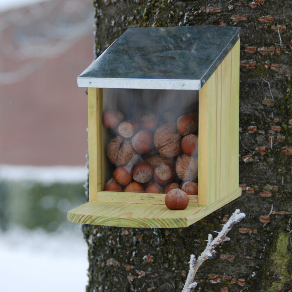Oravien syöttölaite ryhmässä Koti / Puutarha / Linnunpöntöt ja Mehiläishotellit @ SmartaSaker.se (11820)