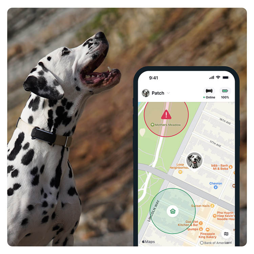 GPS-seuranta koirille, Tractive ryhmässä Vapaa-aika / Lemmikit / Koiratarvikkeet @ SmartaSaker.se (11853)