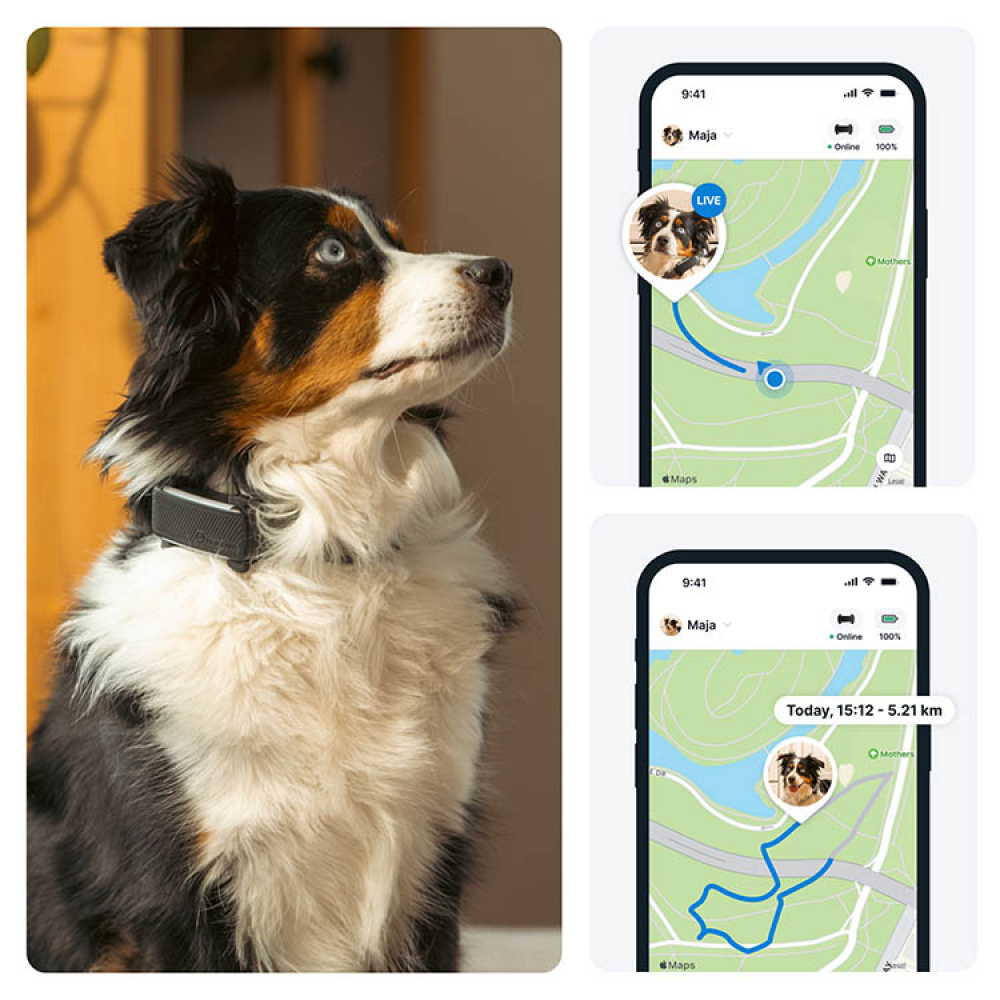 GPS-seuranta koirille, Tractive ryhmässä Vapaa-aika / Lemmikit / Koiratarvikkeet @ SmartaSaker.se (11853)