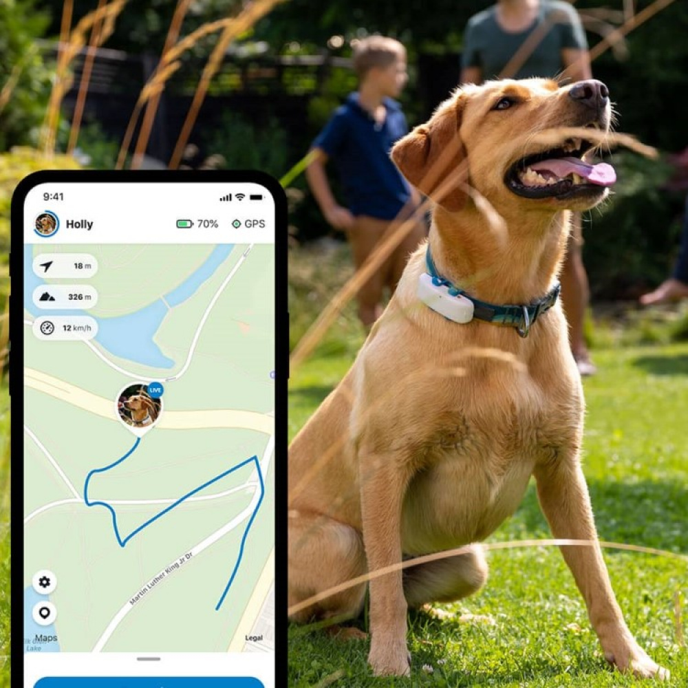 GPS-seuranta koirille ryhmässä Vapaa-aika / Lemmikit / Koiratarvikkeet @ SmartaSaker.se (11853)