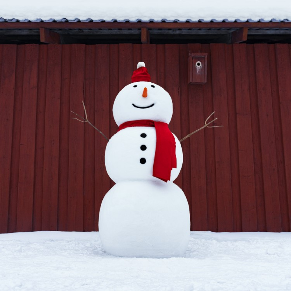 Lumiveistospussi ryhmässä Vapaa-aika / Talvitarvikkeet @ SmartaSaker.se (13647)