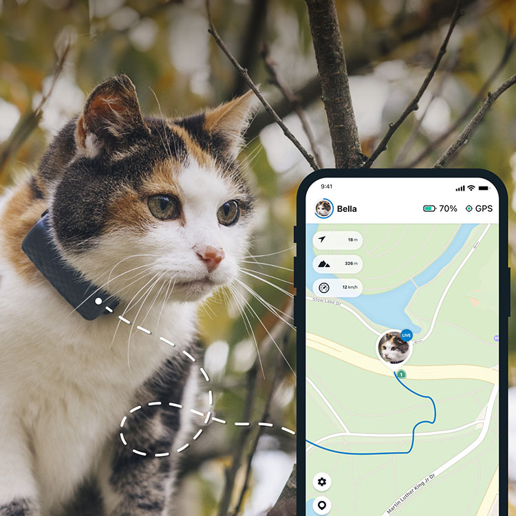 GPS-seurantalaite kissalle ryhmässä Vapaa-aika / Lemmikit / Kissatarvikkeet @ SmartaSaker.se (13660)