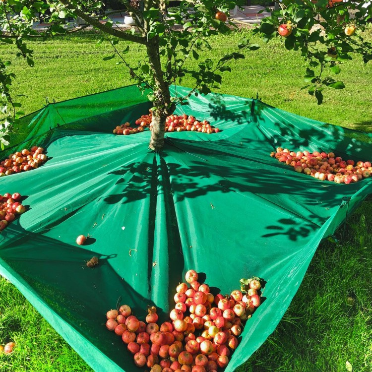 Sadonkorjuuverkko hedelmäpuille ryhmässä Koti / Puutarha @ SmartaSaker.se (13970)