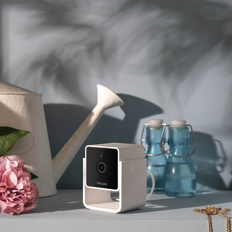 Lemmikkikamera, PetCube ryhmässä Vapaa-aika / Lemmikit @ SmartaSaker.se (14160)