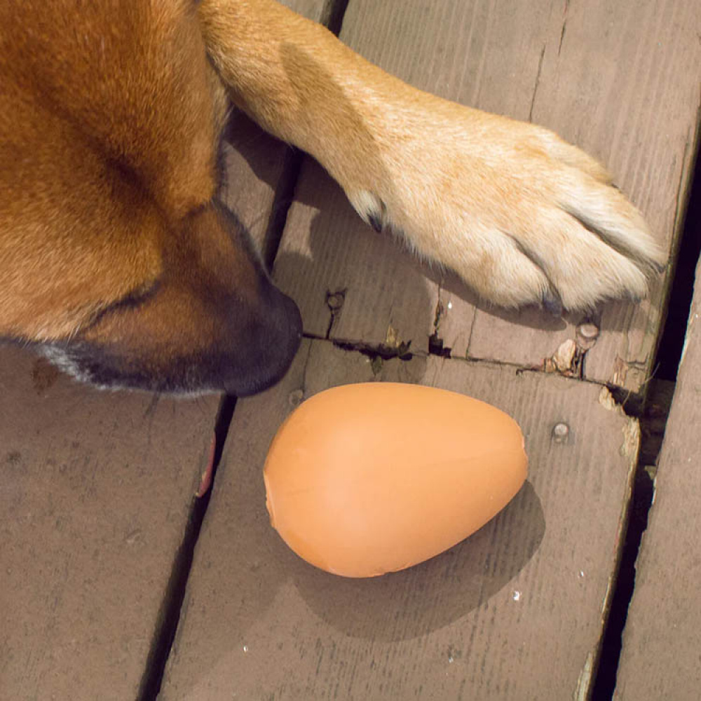 Koiran lelu, pomppiva muna ryhmässä Vapaa-aika / Lemmikit / Koiratarvikkeet @ SmartaSaker.se (14199)