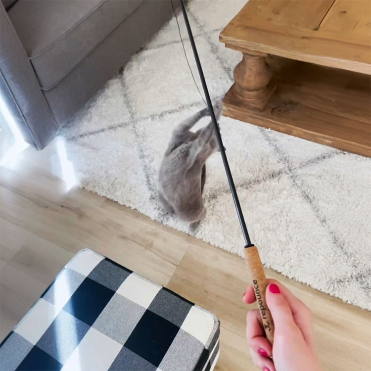 Kestävä kissan lelu ryhmässä Vapaa-aika / Lemmikit / Kissatarvikkeet @ SmartaSaker.se (14330)