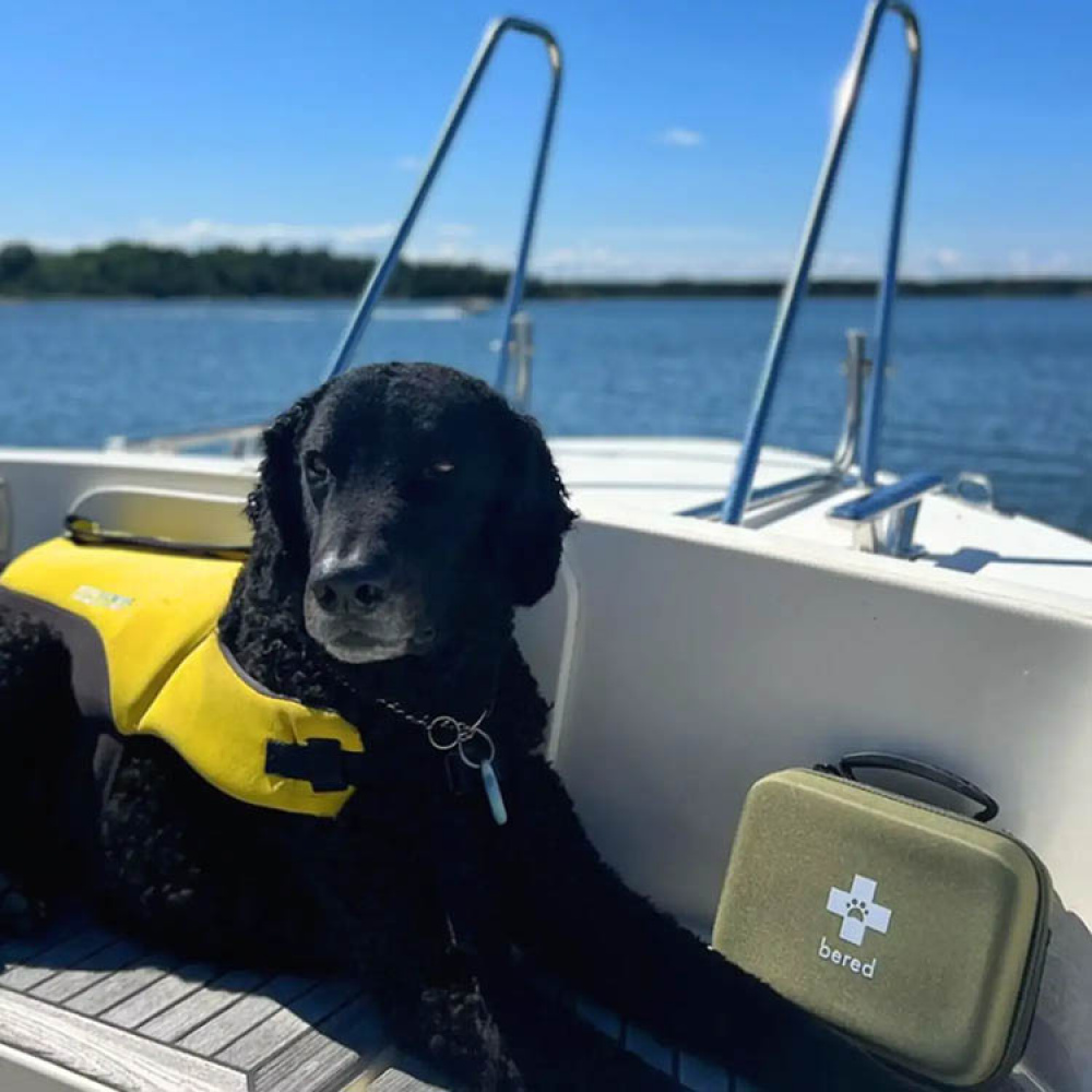 Ensiapupakkaus koirille ja kissoille, Bered ryhmässä Vapaa-aika / Lemmikit @ SmartaSaker.se (14359)