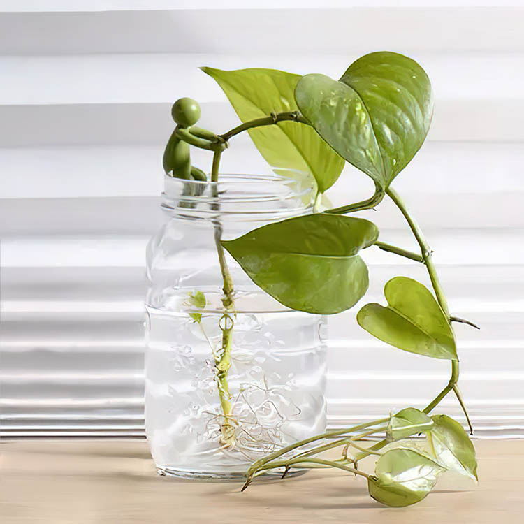 Kasvituki pistokkaille 3 kpl ryhmässä Koti / Puutarha @ SmartaSaker.se (14433)