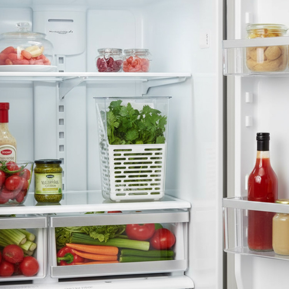 Yrttiastia jääkaappiin ryhmässä Koti / Keittiötarvikkeet @ SmartaSaker.se (14619)