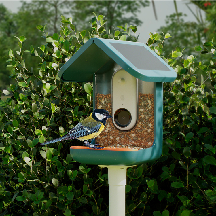 Lintujen syöttölaite kameralla, Birdbuddy ryhmässä Puutarha / Linnunpöntöt ja Mehiläishotellit @ SmartaSaker.se (14643)