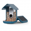 Lintujen syöttölaite kameralla, Birdbuddy