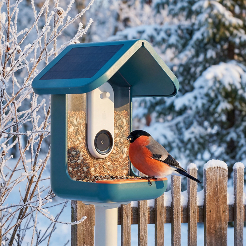 Lintujen syöttölaite kameralla, Birdbuddy ryhmässä Puutarha / Linnunpöntöt ja Mehiläishotellit @ SmartaSaker.se (14643)