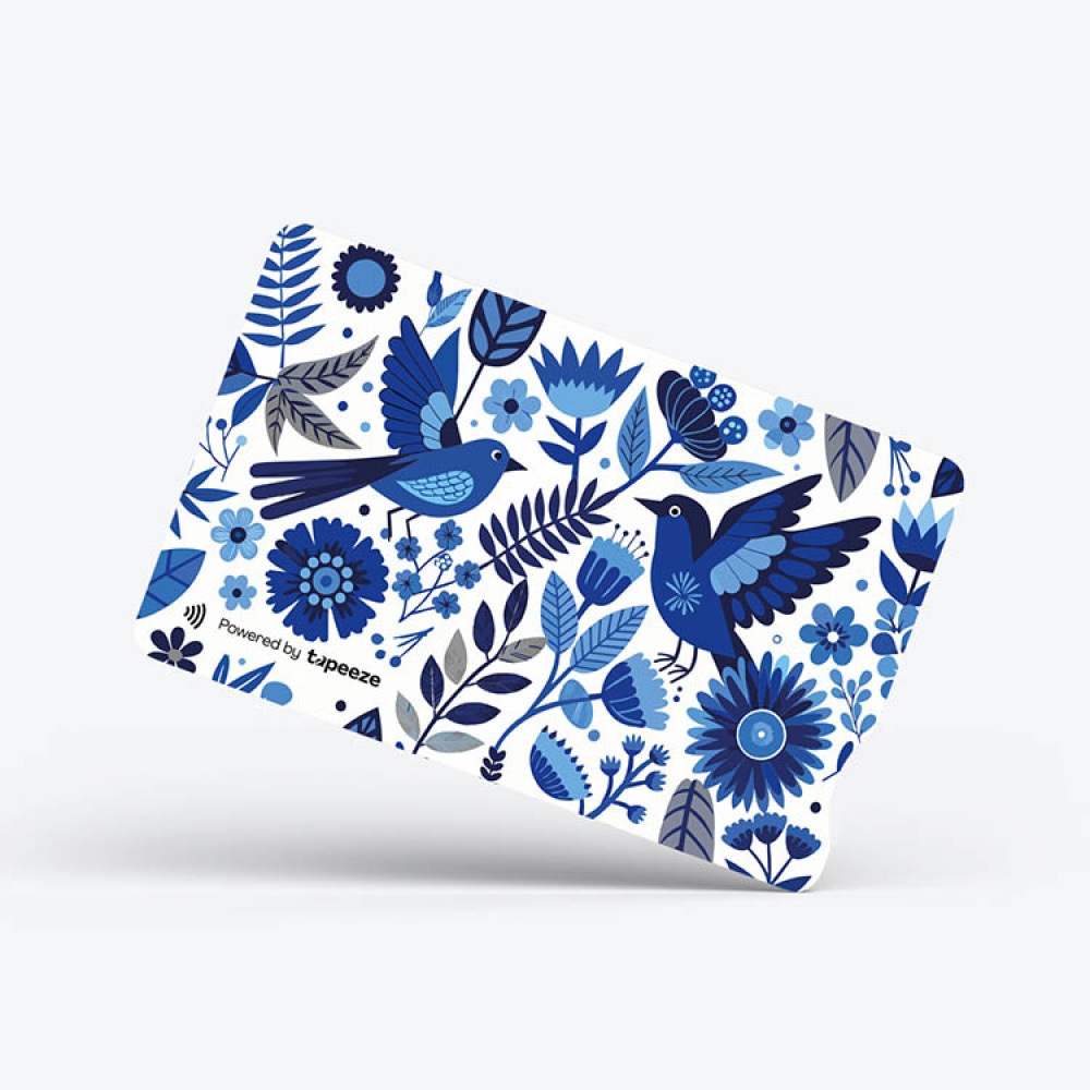 Pankkikortti Tapeeze ryhmässä Koti / Elektroniikka / Kodin elektroniikka @ SmartaSaker.se (14644)