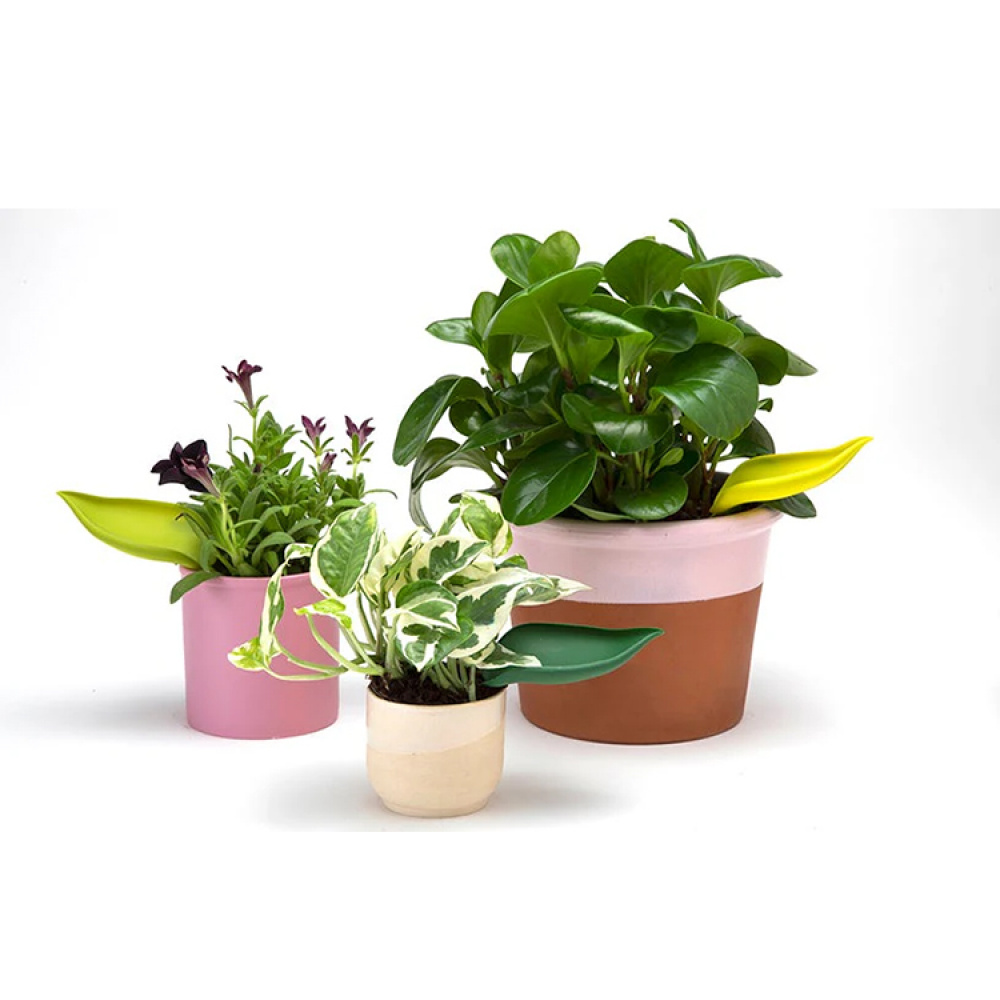 Kastelusuppilo ruukkuun, 3-pack ryhmässä Koti / Puutarha / Kastelu @ SmartaSaker.se (14677)