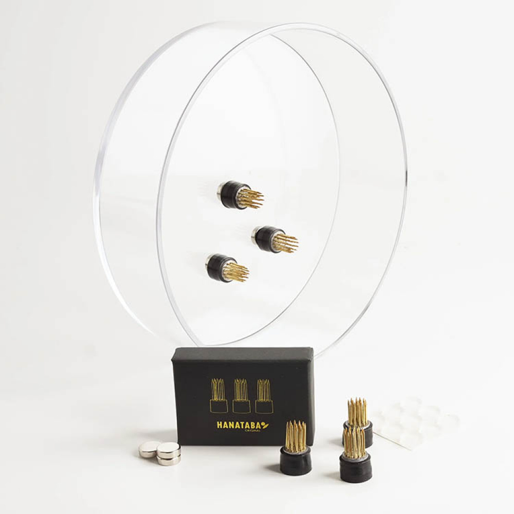 Magneettiset mini-kukkasienet, 3 kpl ryhmässä Koti / Sisustus @ SmartaSaker.se (14698)