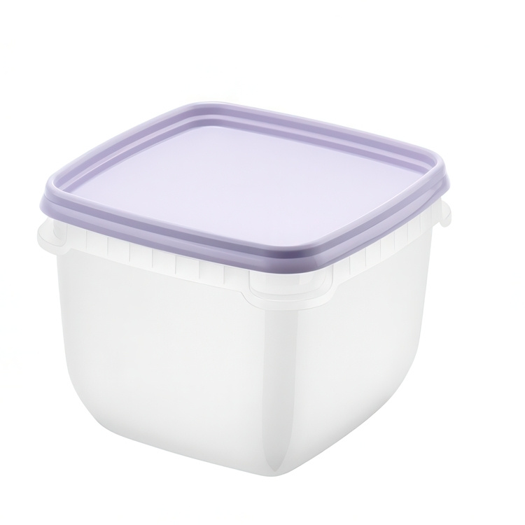 Pakasterasia 0,75 L 4-pakkaus, SmartStore ryhmässä Säilytys / Keittiön säilytys / Ruoan säilytysastiat / SmartStore ruokalaatikot @ SmartaSaker.se (40629)