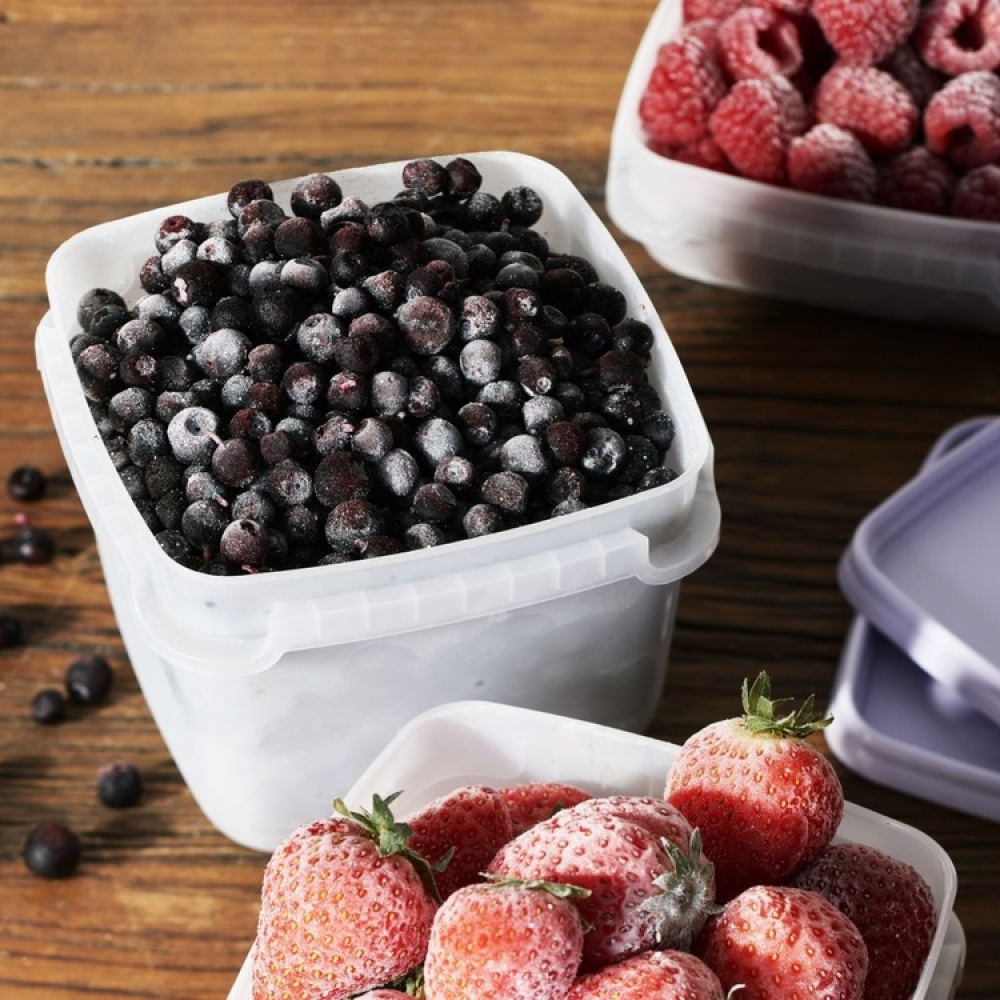 Pakasterasia 0,75 L 4-pakkaus, SmartStore ryhmässä Säilytys / Keittiön säilytys / Ruoan säilytysastiat / SmartStore ruokalaatikot @ SmartaSaker.se (40629)