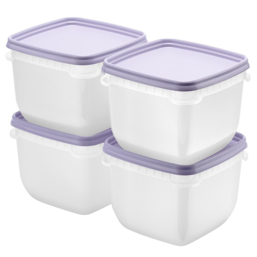 Pakasterasia 0,75 L 4-pakkaus, SmartStore ryhmässä Säilytys / Keittiön säilytys / Ruoan säilytysastiat / SmartStore ruokalaatikot @ SmartaSaker.se (40629)