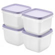 Pakasterasia 0,75 L 4-pakkaus, SmartStore