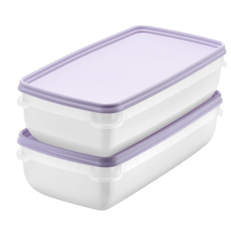 Pakastusrasia 1,2 L 2-pack, SmartStore ryhmässä Säilytys / Keittiön säilytys / Ruoan säilytysastiat / SmartStore ruokalaatikot @ SmartaSaker.se (40630)