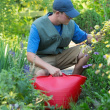 Sanko 26L, Tubtrug