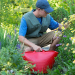Sanko 26L, Tubtrug