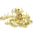 Nastat, 100 kpl, THUMB TACKS, Ø 9,5 mm, Kulta